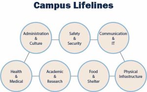 Campus Lifelines Featured